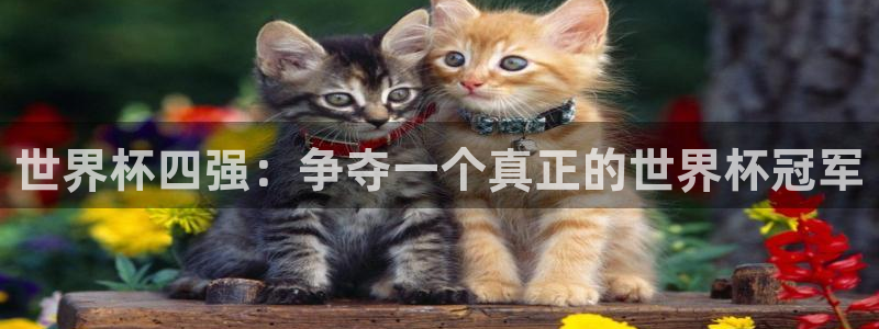 足球比分直播世界杯：世界杯四强：争夺一个真正的世界杯冠军