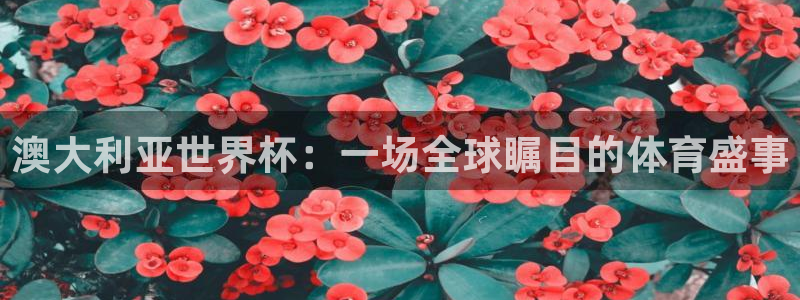 世界杯时间：澳大利亚世界杯：一场全球瞩目的体育盛事