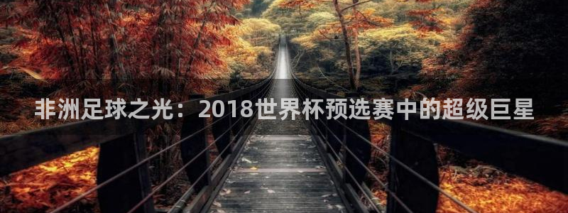 2026世界杯赛：非洲足球之光：2018世界杯预选赛中的超级巨星