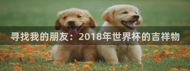 2026世界杯官网入口：寻找我的朋友：2018年世界杯的吉祥物