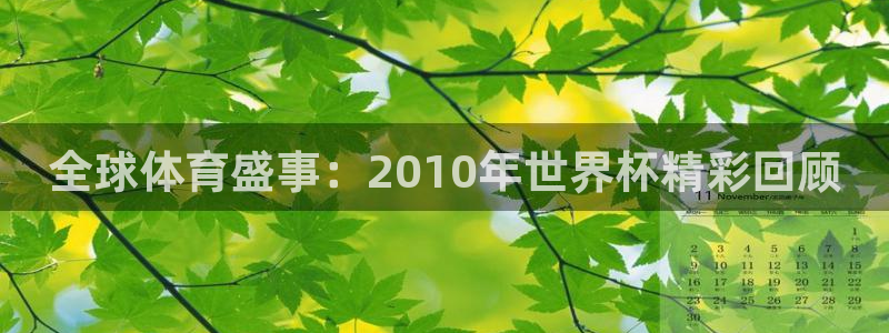 世界杯预选赛规则：全球体育盛事：2010年世界杯精彩回顾