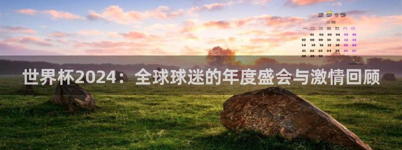 世界杯预选赛欧洲区赛程：世界杯2024：全球球迷的年度盛会与激情回顾