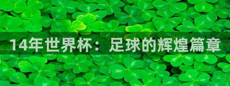 世界杯直播平台：14年世界杯：足球的辉煌篇章