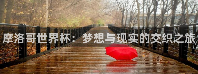 世界杯比赛直播：摩洛哥世界杯：梦想与现实的交织之旅