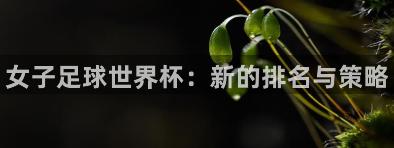 世界杯预选赛欧洲区赛程：女子足球世界杯：新的排名与策略