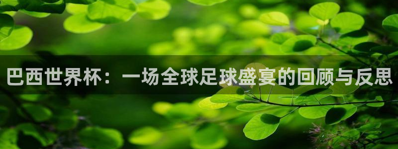 世界杯预选赛赛程时间表：巴西世界杯：一场全球足球盛宴的回顾与反思