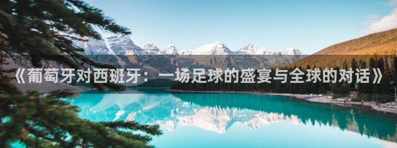 世界杯足球赛：《葡萄牙对西班牙：一场足球的盛宴与全球的对话》