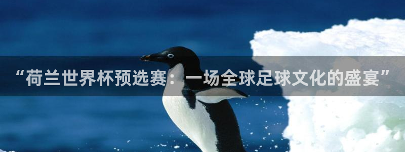 世界杯预选赛欧洲赛区积分榜：“荷兰世界杯预选赛：一场全球足球文化的盛宴”