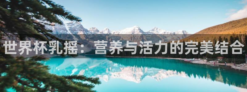 世界杯亚洲区预选赛赛程表：世界杯乳摇：营养与活力的完美结合