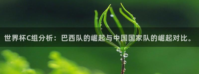 2026世界杯32强对阵图表：世界杯C组分析：巴西队的崛起与中国国家队的崛起对比。