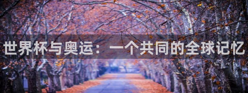 世界杯直播观看：世界杯与奥运：一个共同的全球记忆